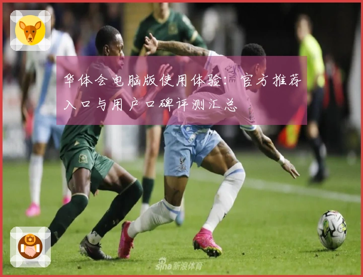 华体会电脑版使用体验：官方推荐入口与用户口碑评测汇总